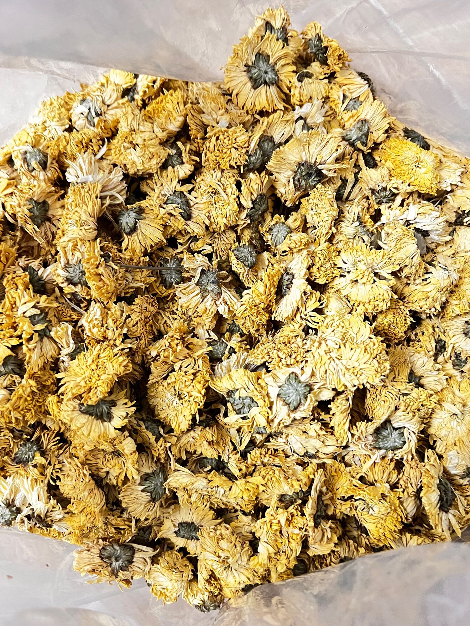 [HCM]Trà Hoa Cúc Vàng Xấy Khô 100g