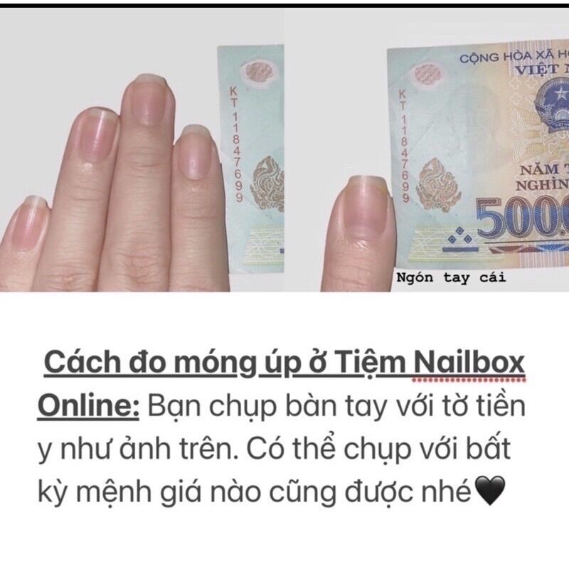 Nailbox vẽ karo nền trắng đỏ D819