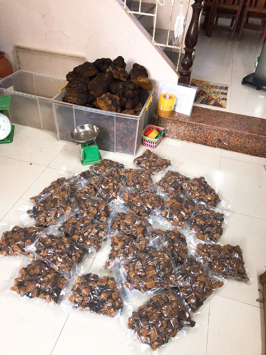 Nấm Chaga Nga 600K/Kg