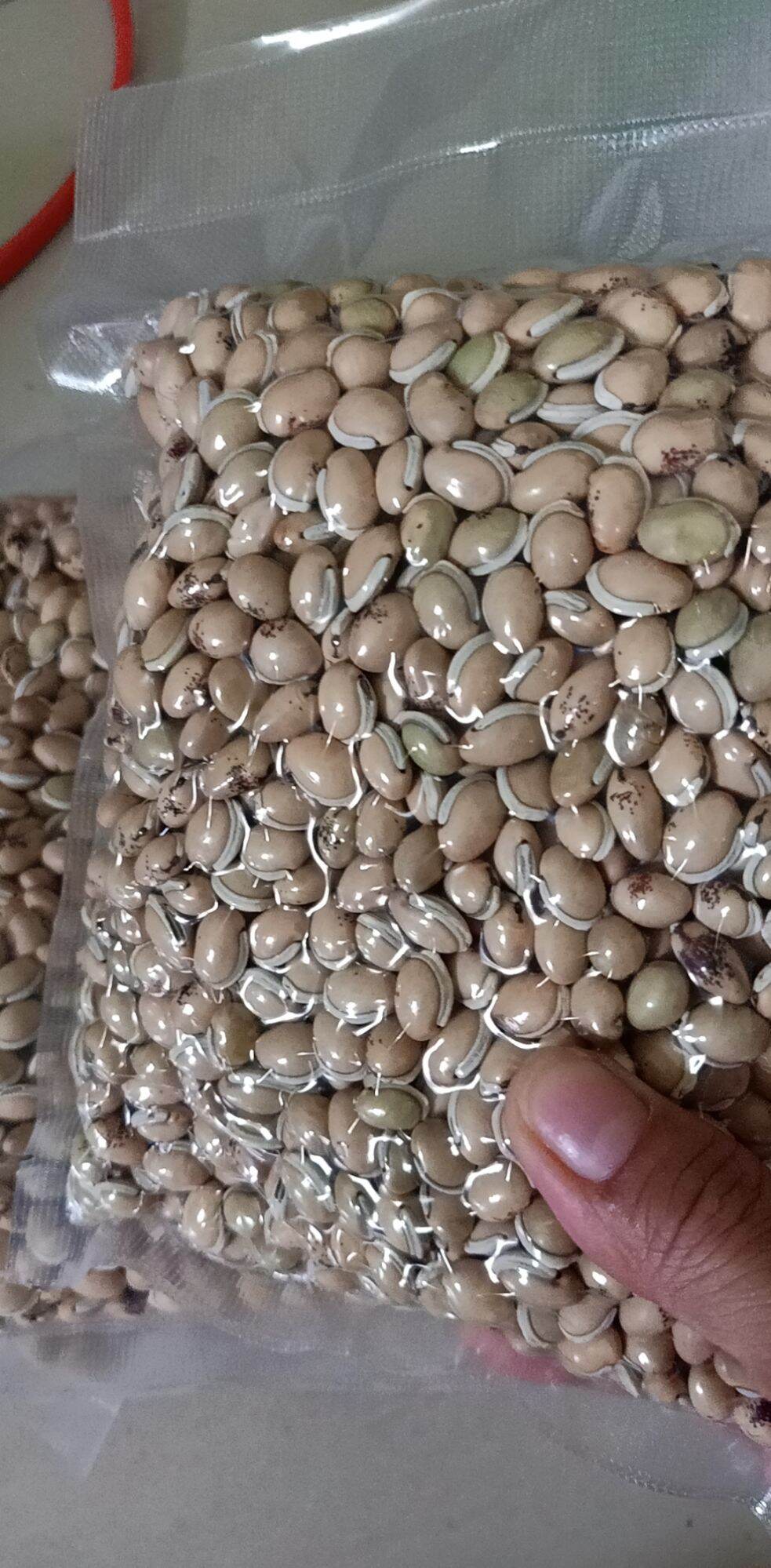 Đậu ván khô dùng nấu chè