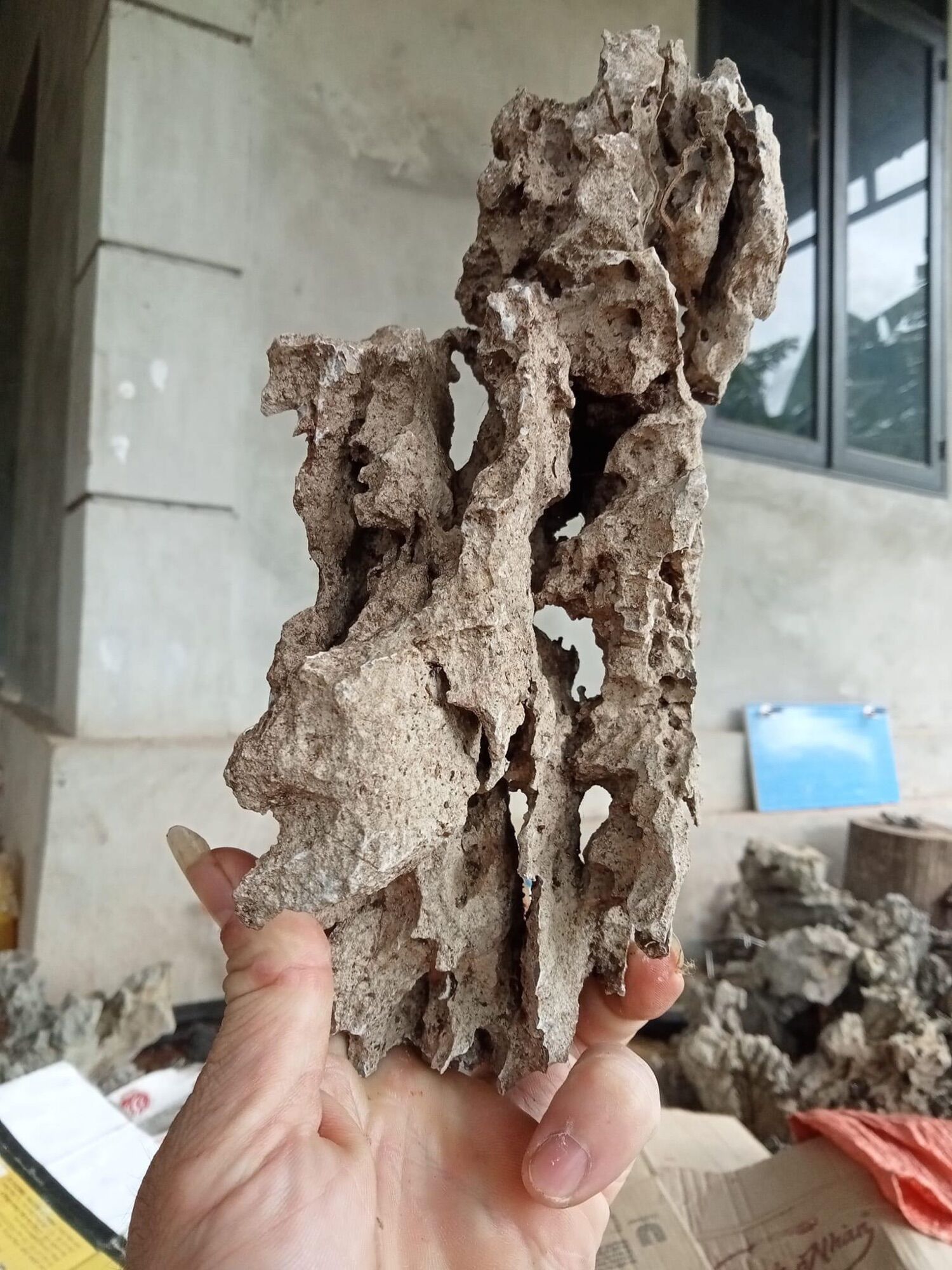 Đá tai mèo,đá lụa kí cây bonsai