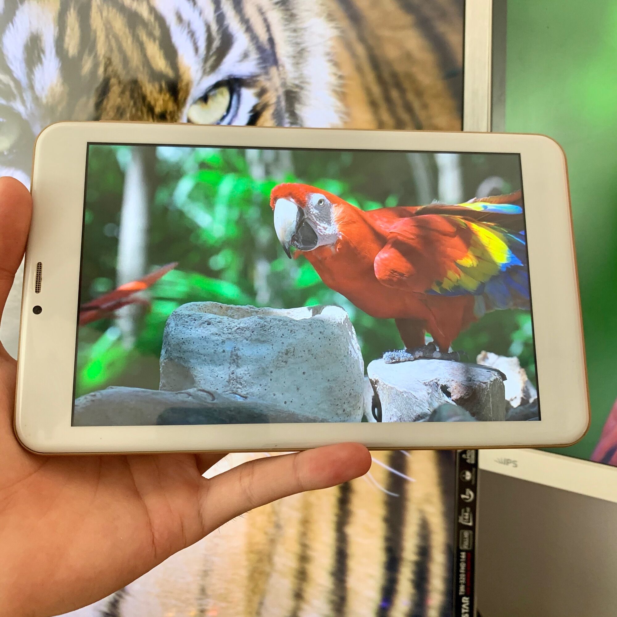 Máy Tính Bảng Masstel Tab 8Plus (cũ)