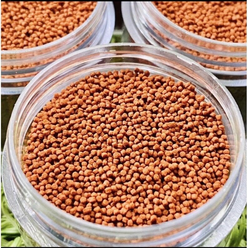 Thức ăn Công Thức Chuyên Cho Betta ,Cá Xiêm ( Hủ Nhỏ )