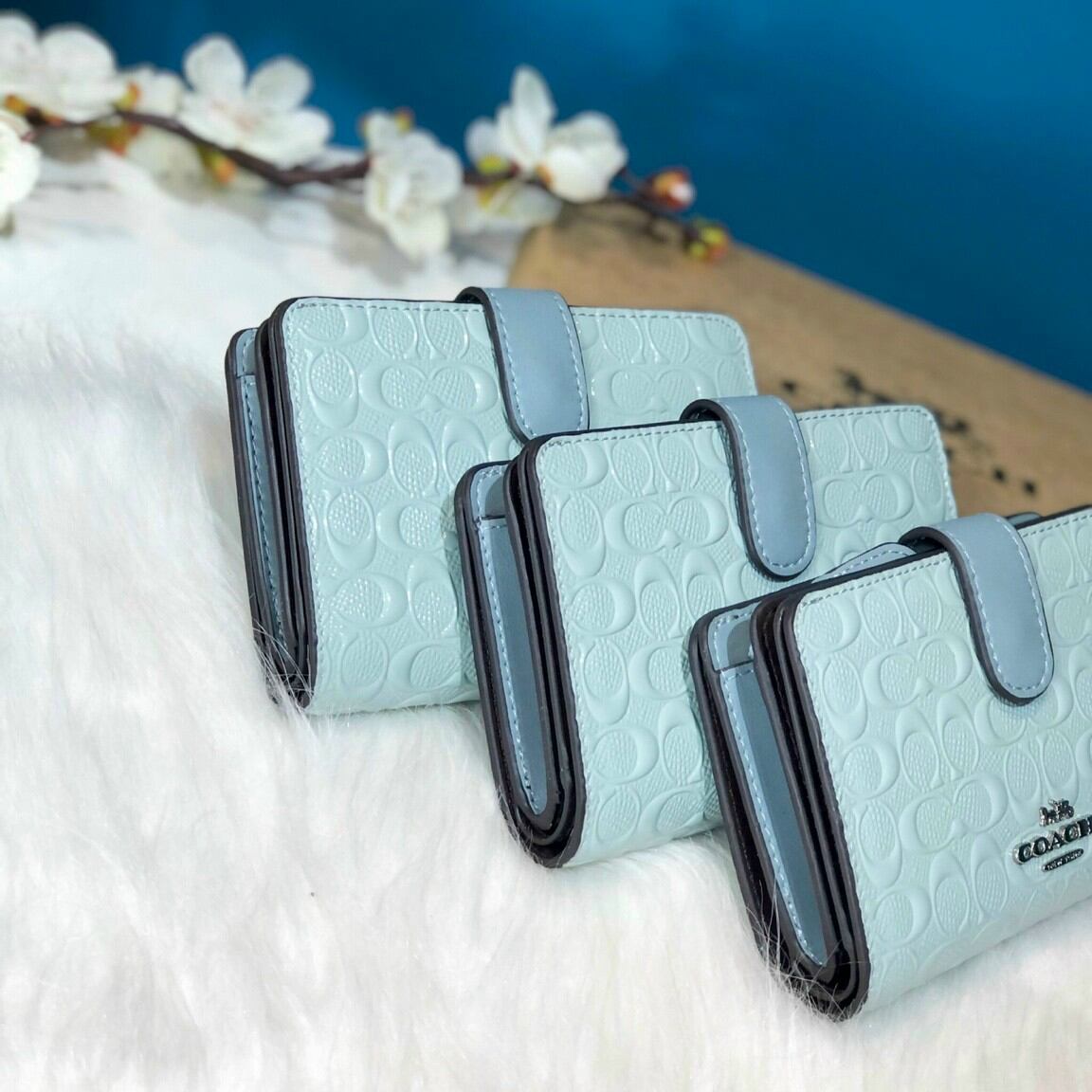 VÍ COACH GÀI MEDIUM CORNER ZIP SIÊU ĐẸP