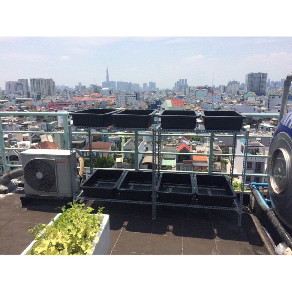 Cây 50cm - SẮT V LỖ( V3x3cm)