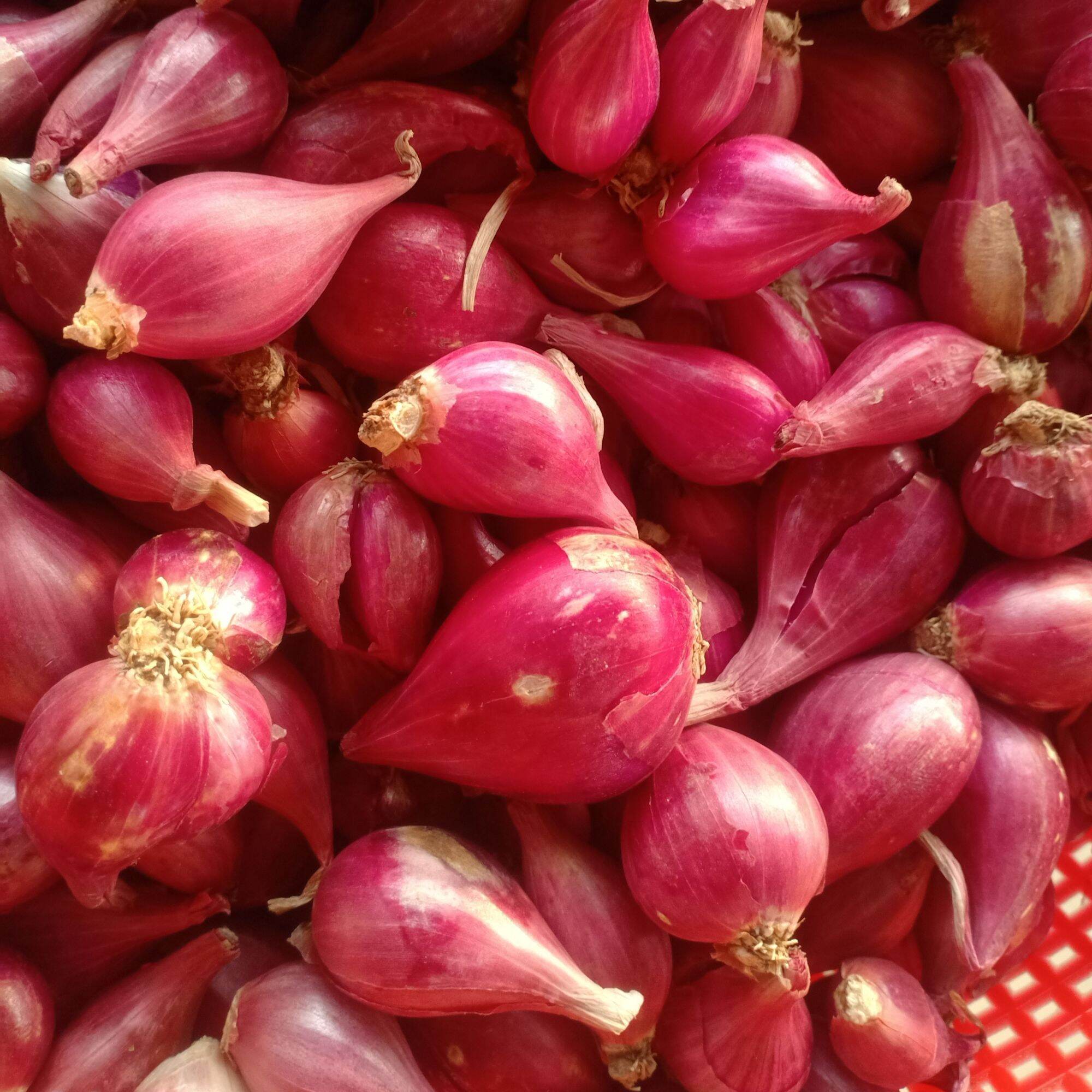 Hành tím Phan Rang chất lượng 500gr
