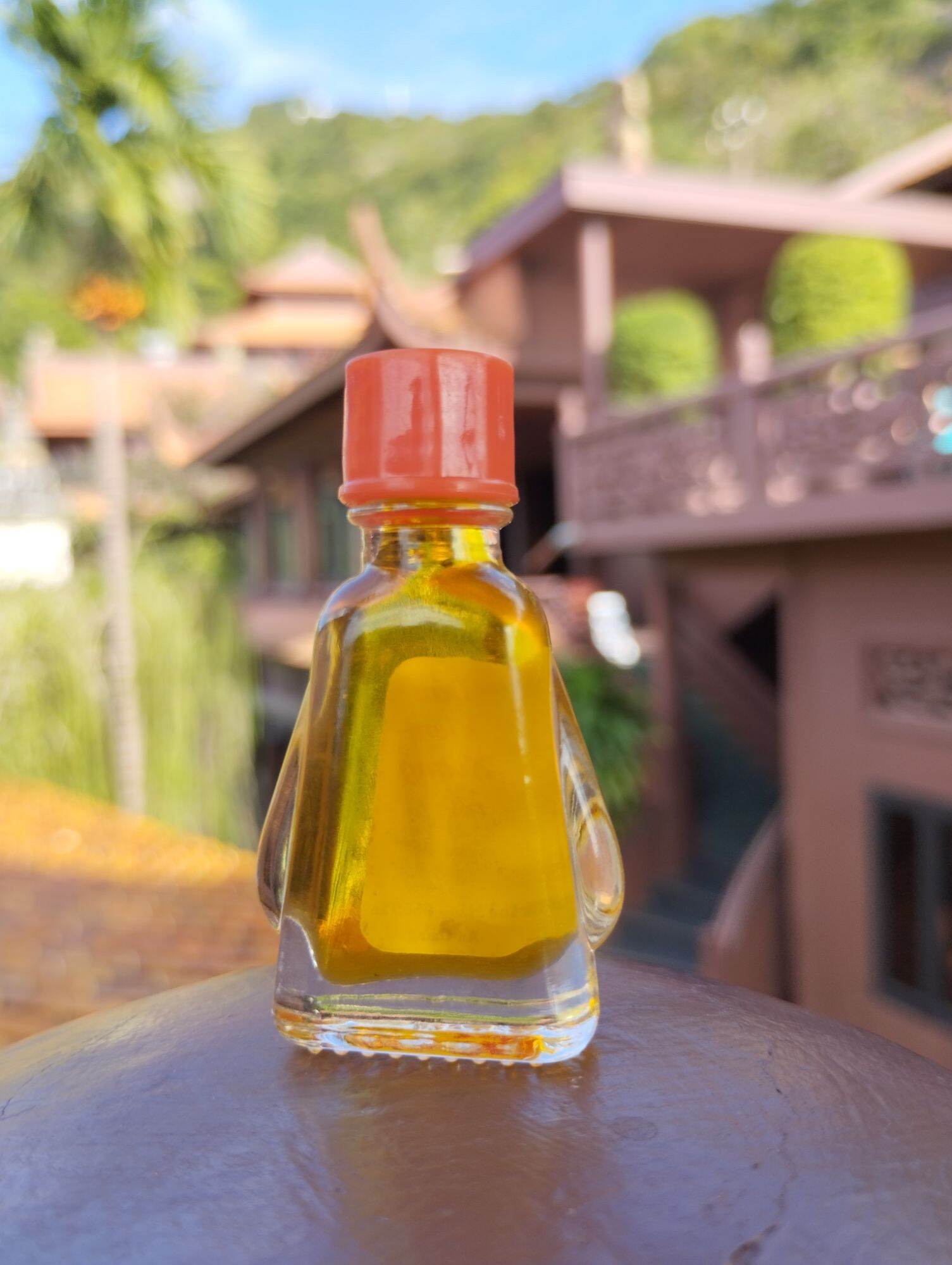 DẦU VIÊM XOANG ( sỉ 100chai vàng)