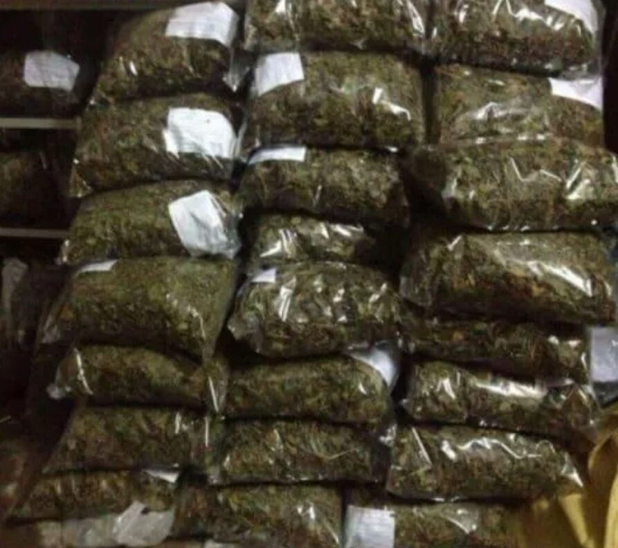 TRÀ CHÈ VẰNG ( Bịch 30g)