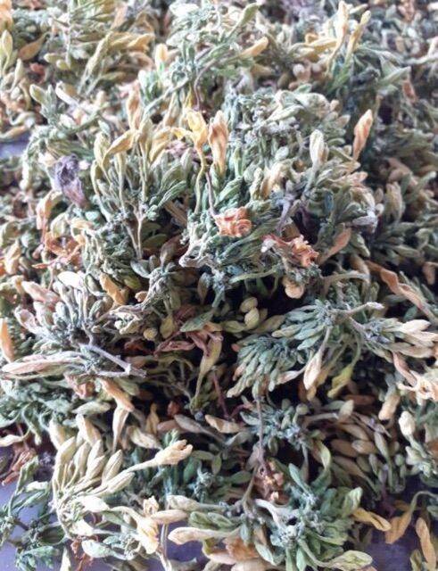 100g hoa đu đủ đực phơi khô tự nhiên