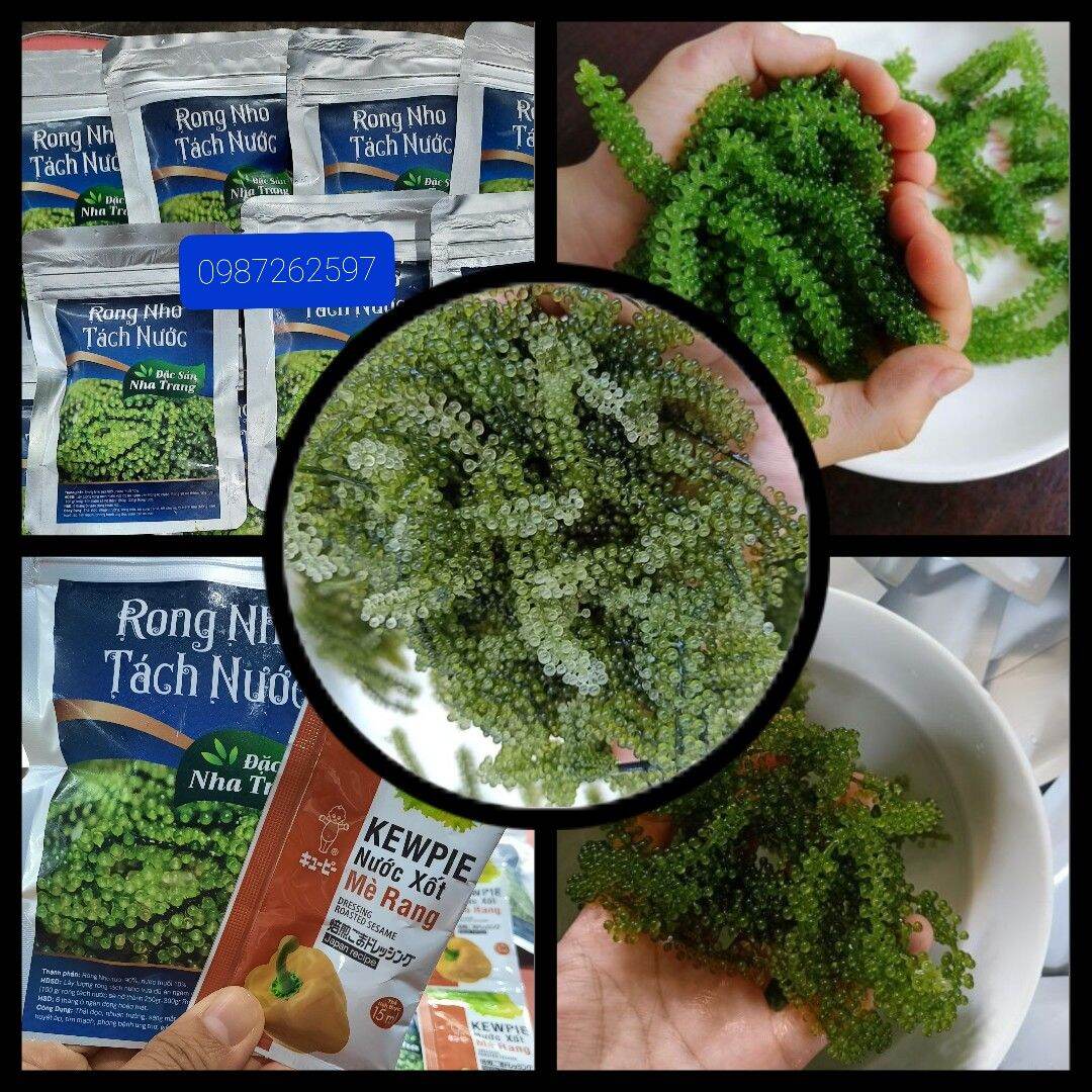 500gr rong nho tách nước Nha trang - khánh Hòa (tặng kèm sốt mè rang Kewpie)