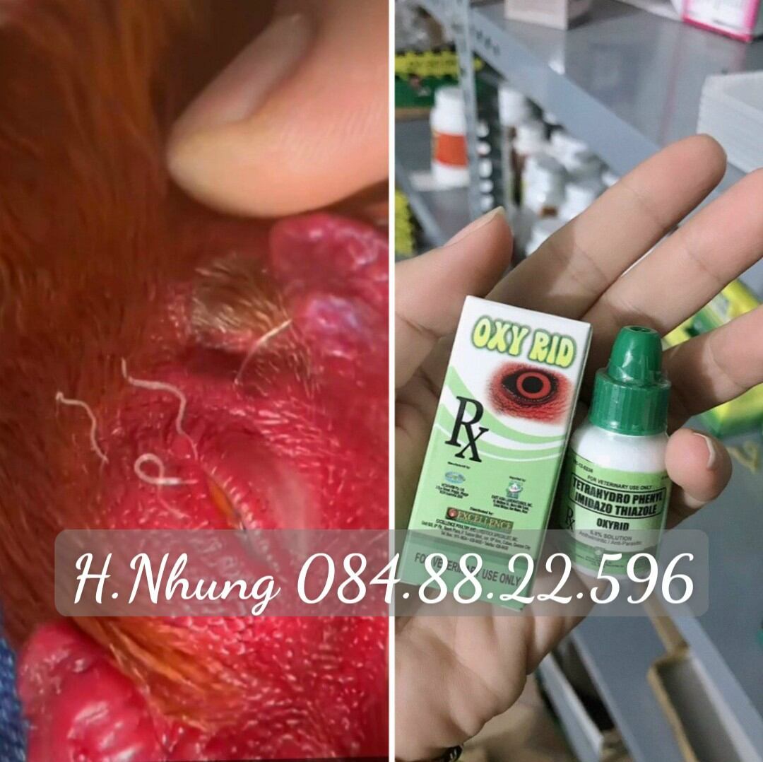 Oxy rid: tri giun sán, sâu, đỏ, ngứa, bọt mắt gà đá