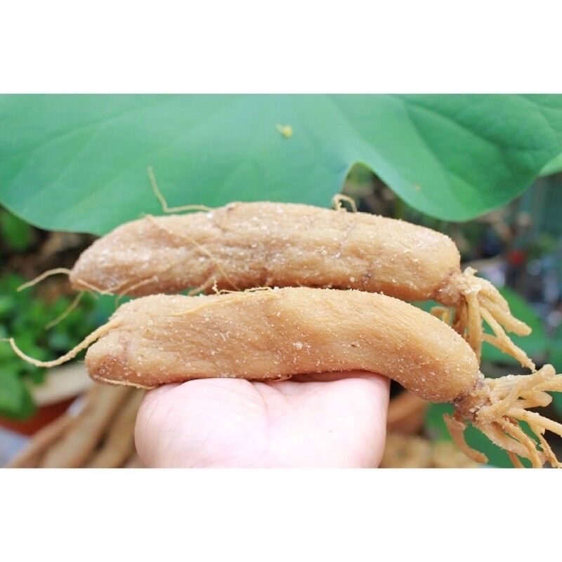 Củ cải muối