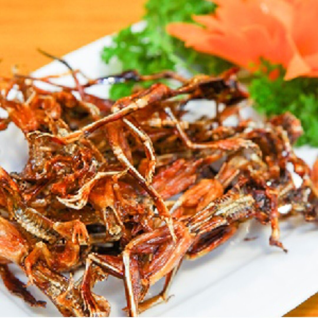 Khô nhái, vũ nữ chân dài, đặc sản An Giang hàng loại 1 nhái cơm