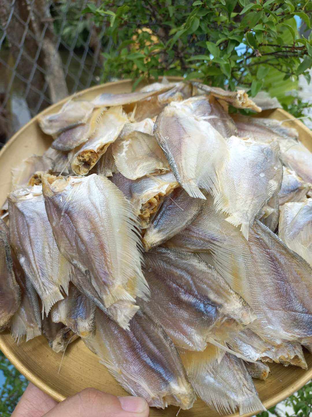 sặc bướm khô queo hàng tươi ngon như hình, cá nhà làm vị vừa ăn không mặn, Khô Ông Chín