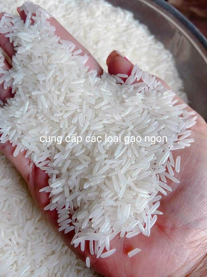 [HCM]gạo St25 ngon nhất thế giới bao ăn túi 5kg