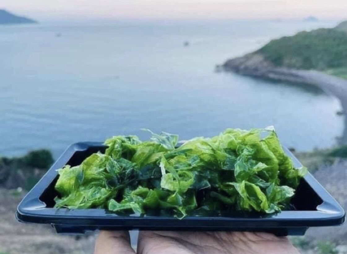 Rong biển xà lách tự nhiên_500gr