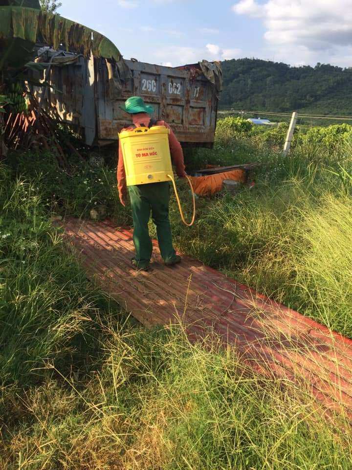 Trừ cỏ sinh học cho farm hữu cơ