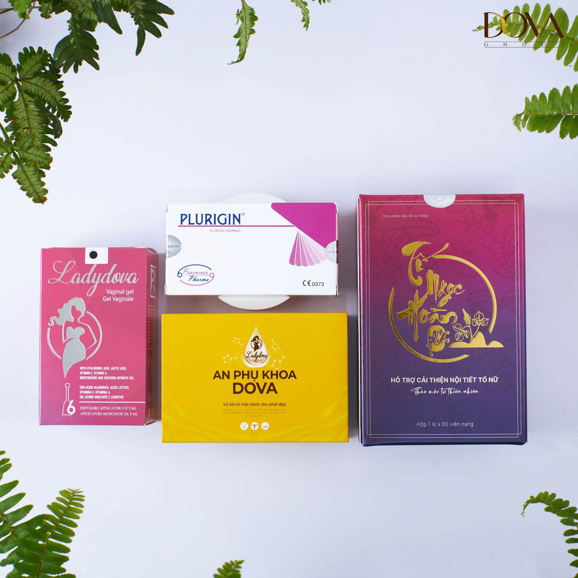 Combo an phụ khoa dova hàng chính hãng dova group
