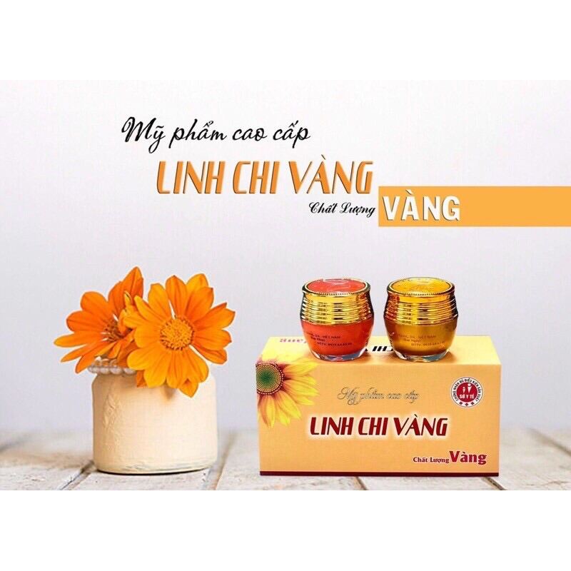 [Hcm]Set Kem Nám Ngày Và Đêm Linh Chi Vàng