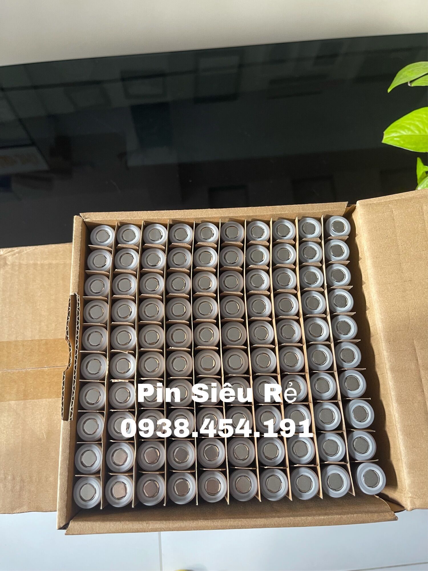[HCM]Lisen Xám New Mẫu mới