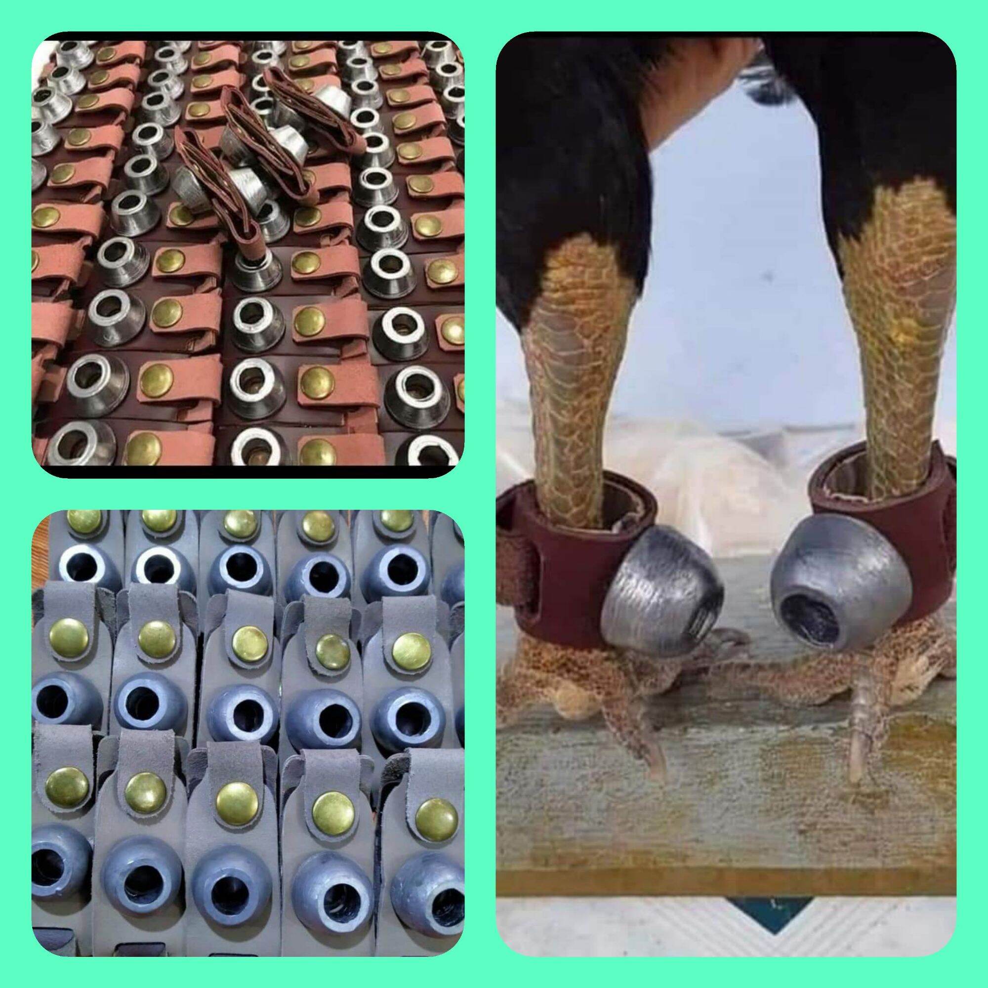 Tạ chì tập lực cho gà lông , gà nòi ( cặp nặng 180gram)