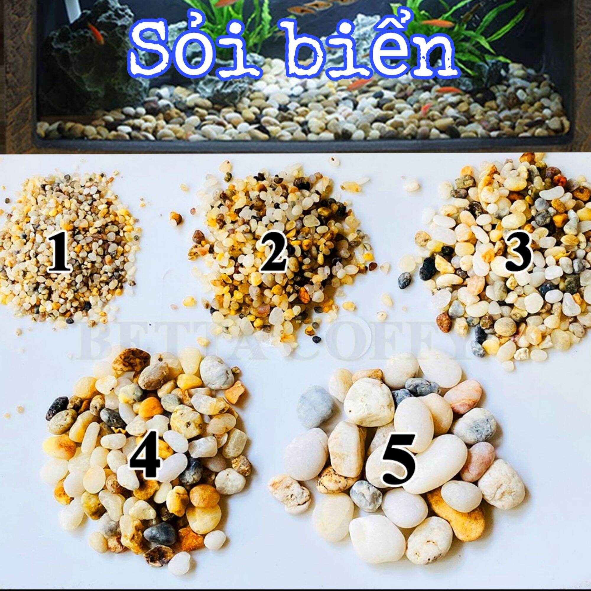 Sỏi Biển Thiên Nhiên sỏi suối Trang Trí Hồ Cá Lót Chậu Sân Vườn Thủy Sinh 1kg