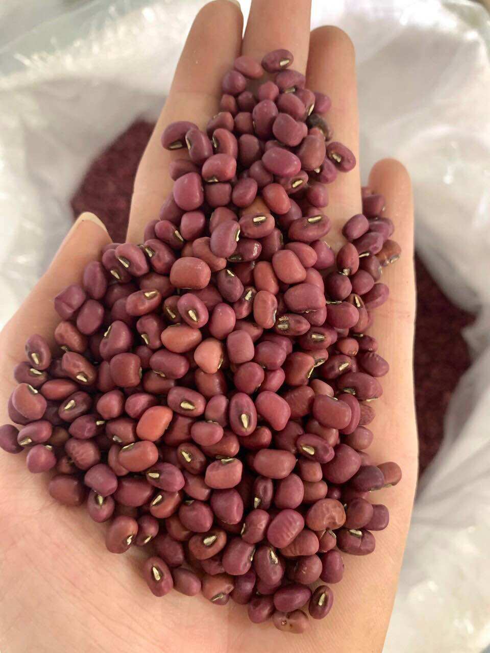 ĐẬU PHỘNG ĐỎ TÂY BẮC 1kg_ NÔNG THÀNH