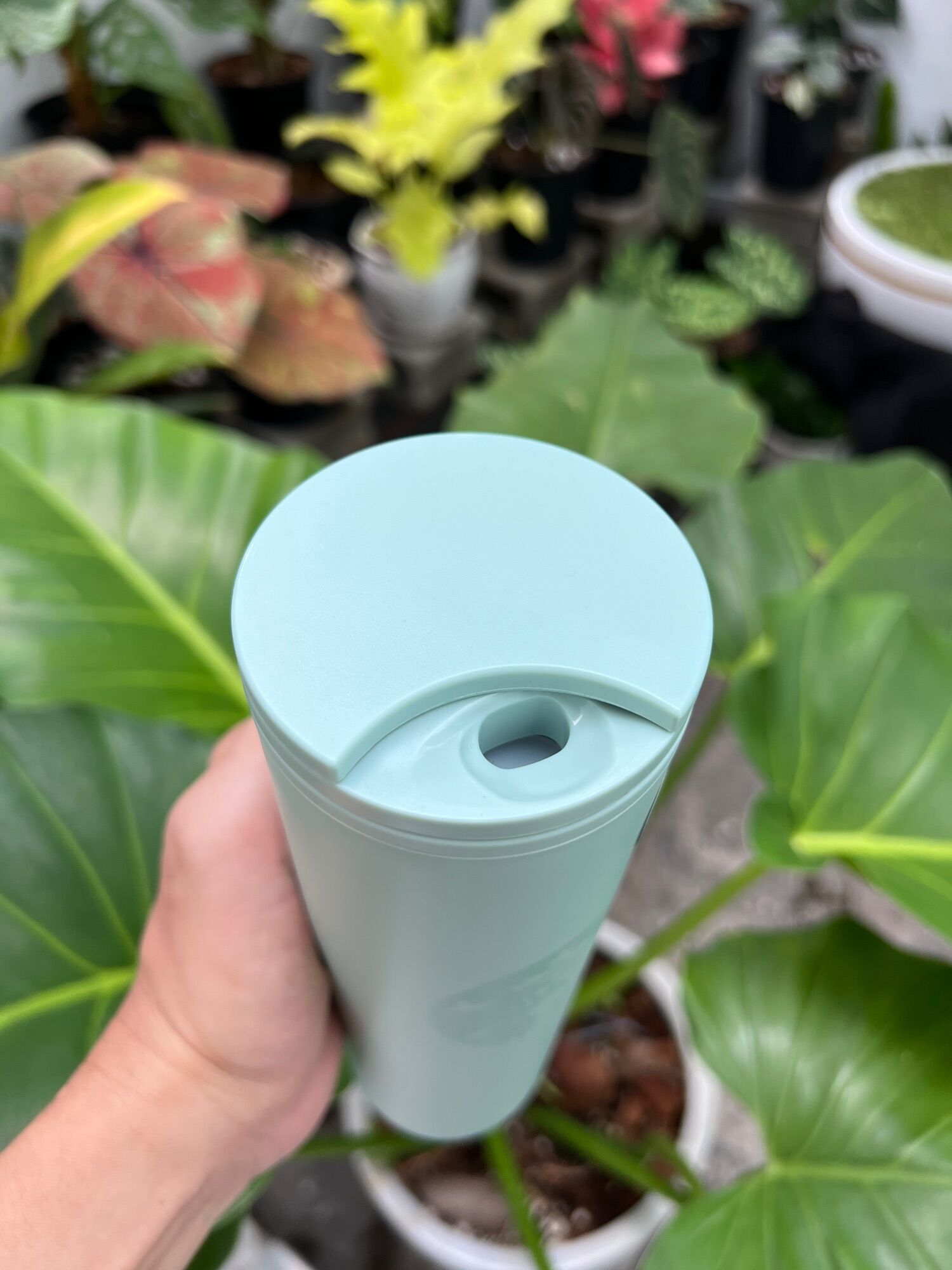 [ Store Mỹ ] Bình Nước Nhựa Starbucks 591ml