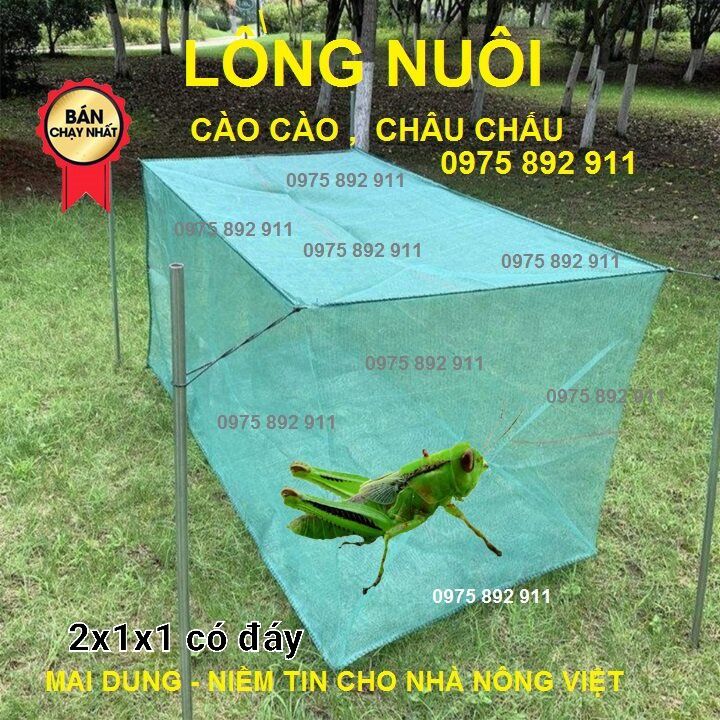 Lồng nuôi cào cào châu chấu, dành cho chim kiểng, gà kiểng