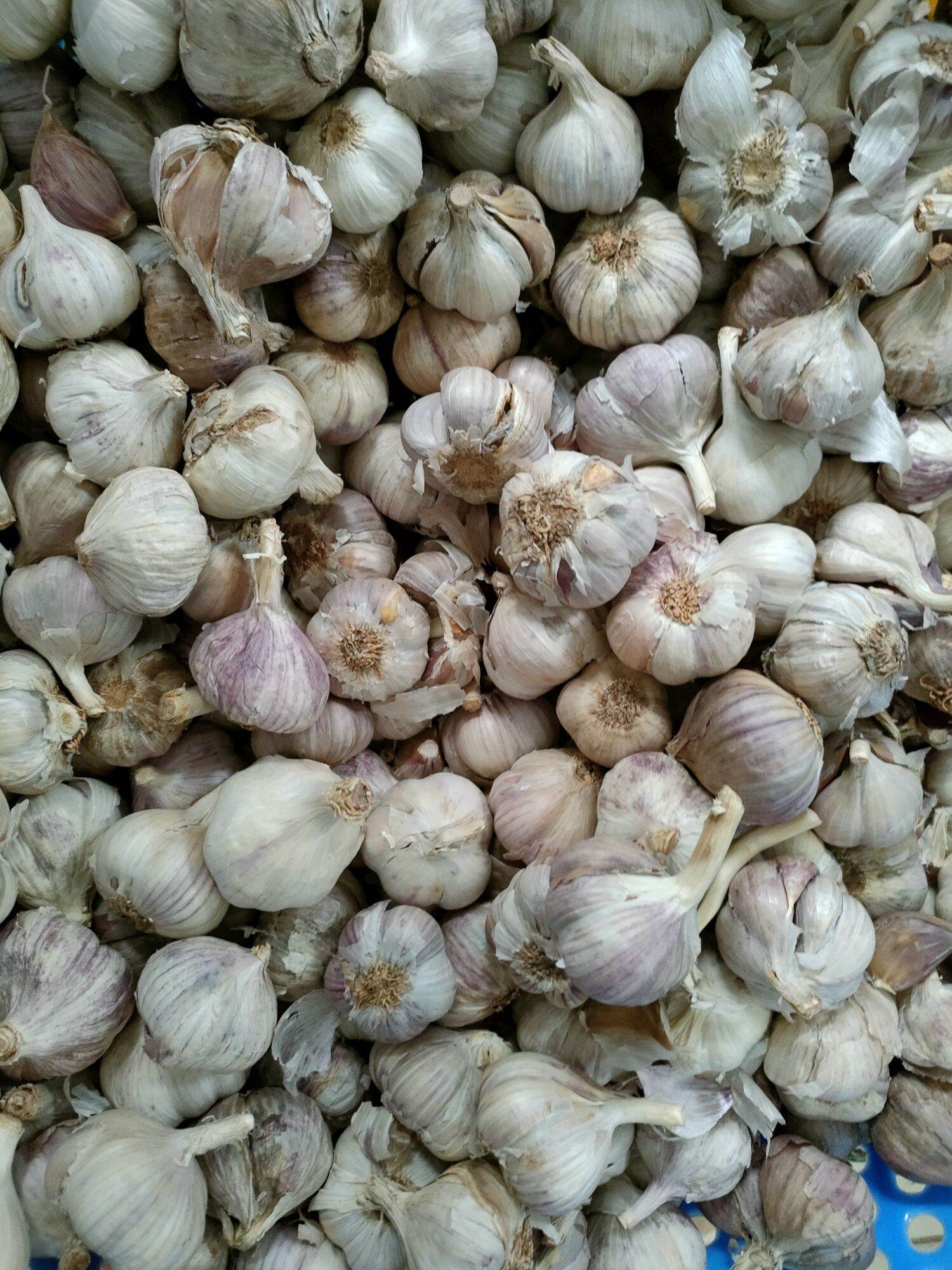 Hành khô kinh môn 1kg