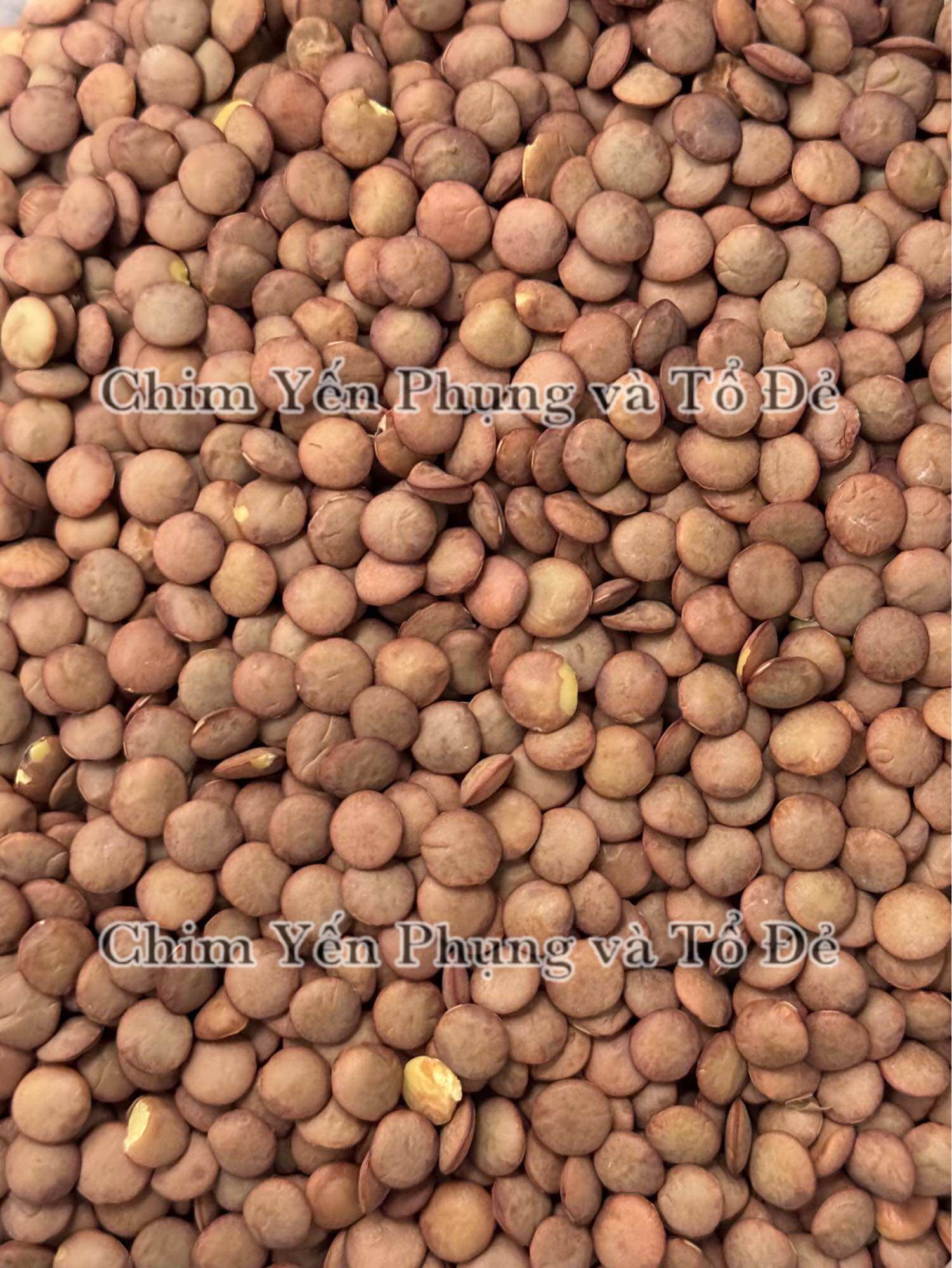 1kg đậu lăng xanh (green lentils) - xuất xứ: Canada 🇨🇦