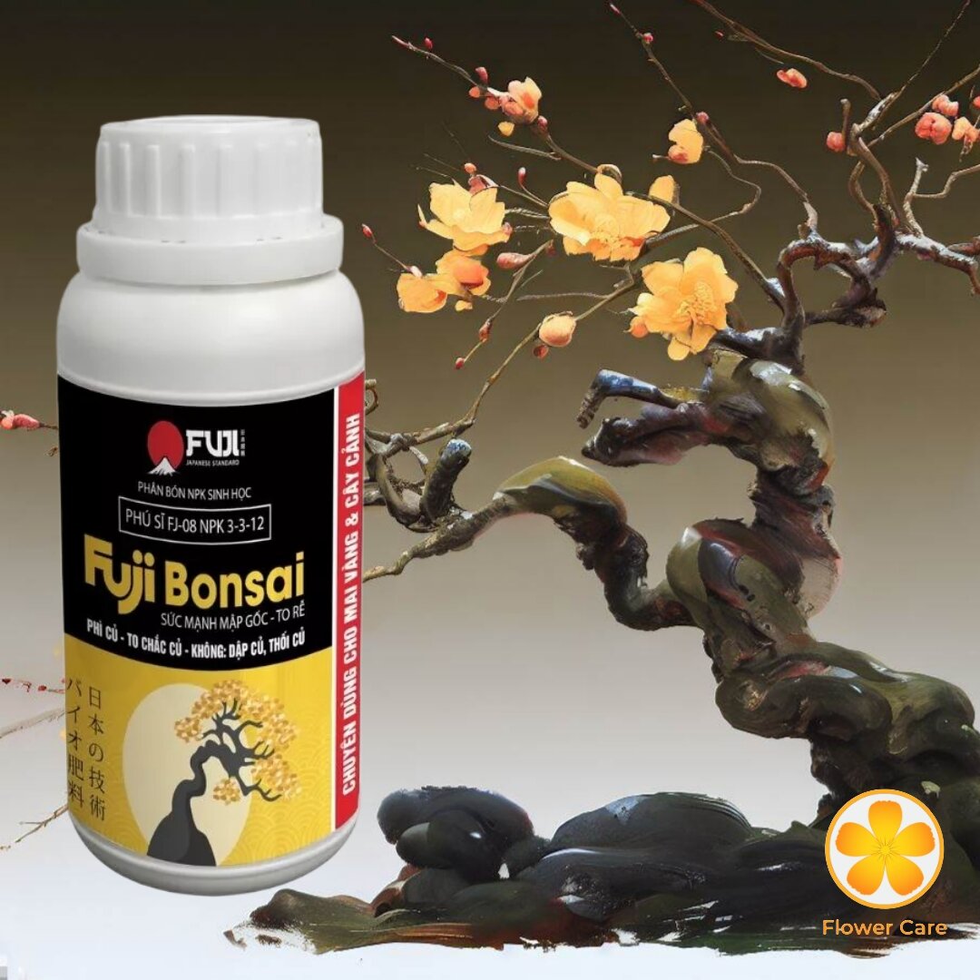 Phân bón to củ mai vàng fuji bonsai - to gốc - nở củ - lớn rễ 250ml