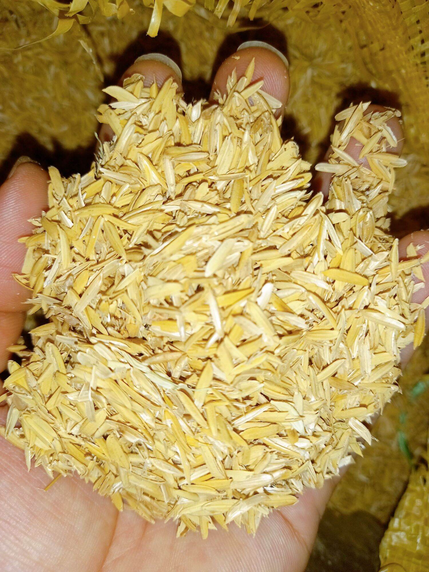 Vỏ trấu trồng lan, trồng cây, lót chuồng 1kg