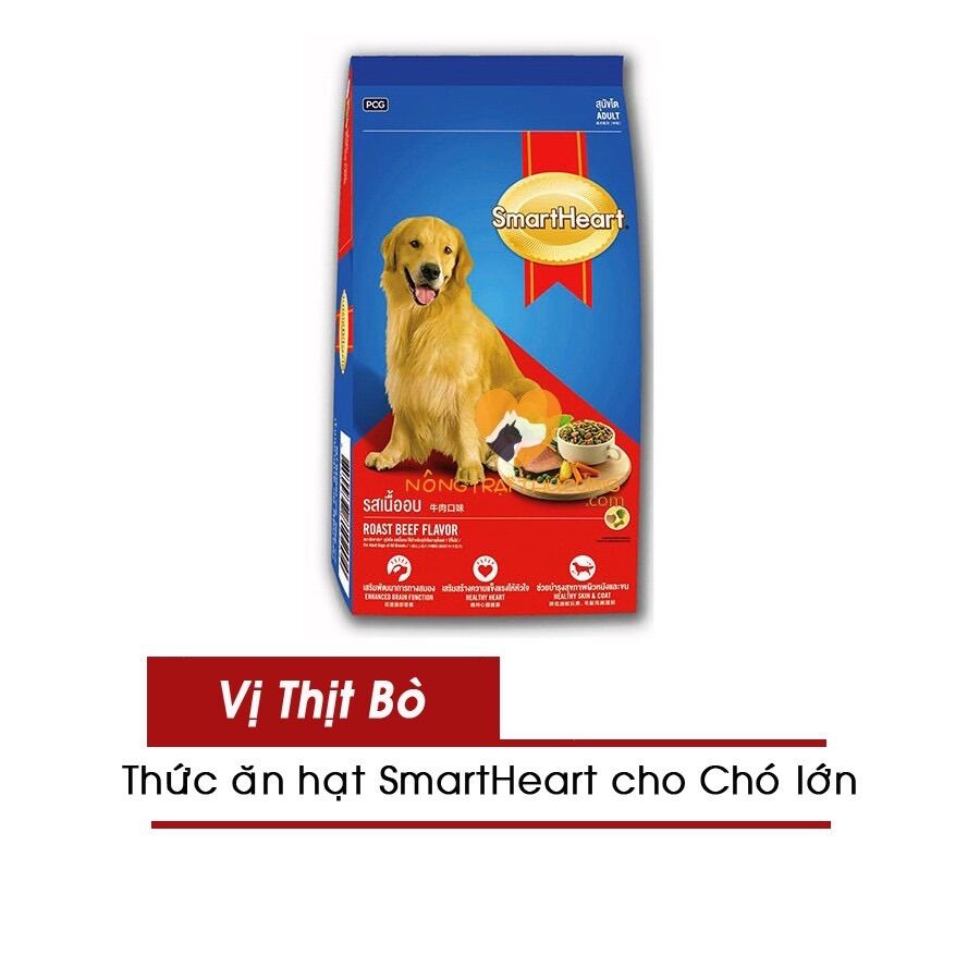 Hạt Thức ăn Smart Heart dành cho chó trưởng thành