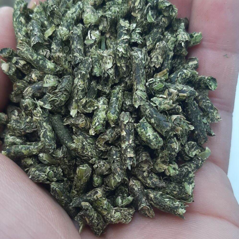 Hcm. 1kg cỏ alfalfa viên 3ly dành cho bọ ú , thỏ , gà đá ...