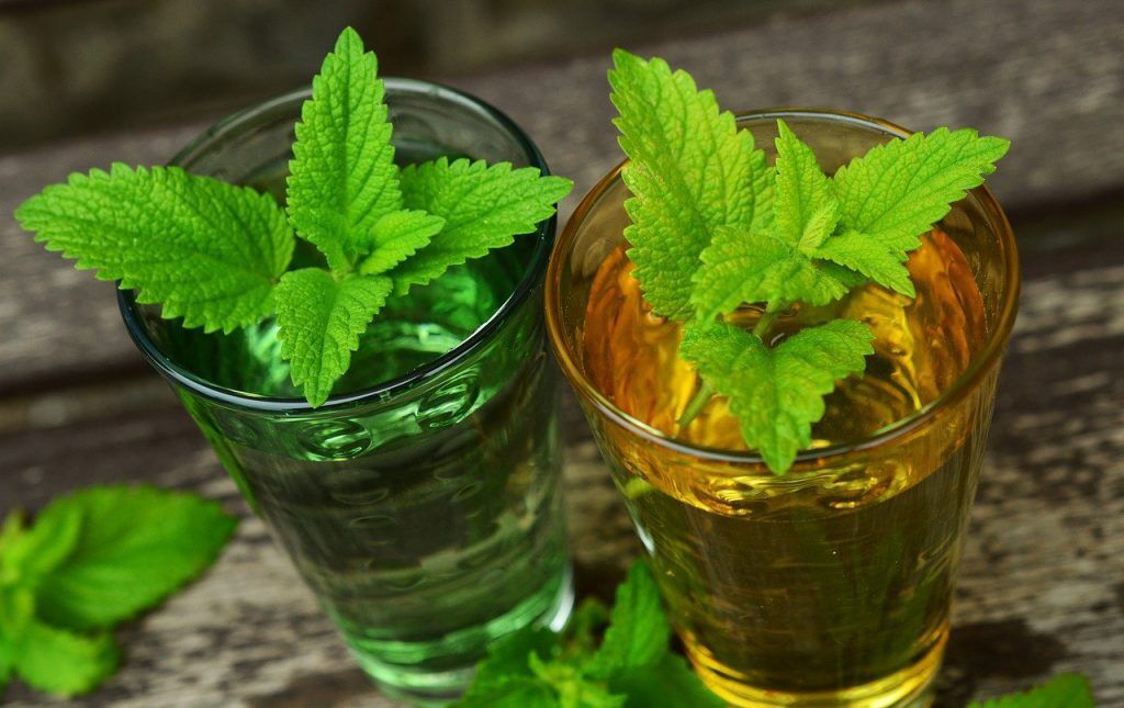 Hạt Giống Bạc Hà Chanh Sả Lemon Balm