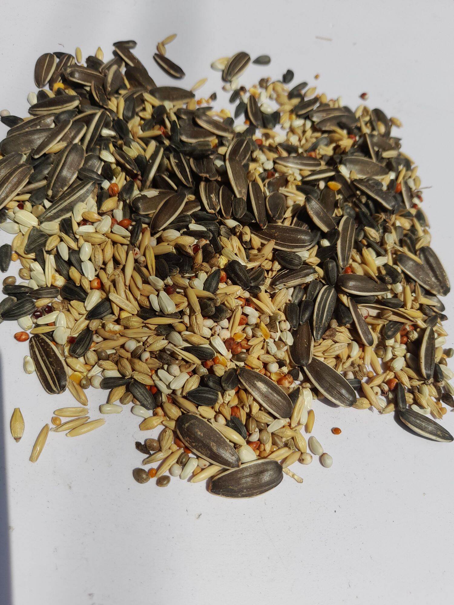 Thức ăn hạt cho vẹt 1kg