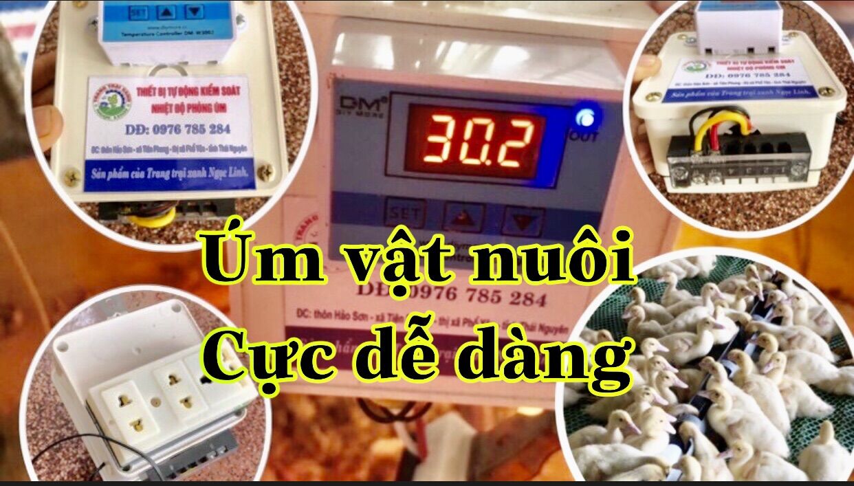 Máy úm vật nuôi tự động, úm gà vịt, úm chó mèo, úm thú cưng... An toàn, chính xác cao.