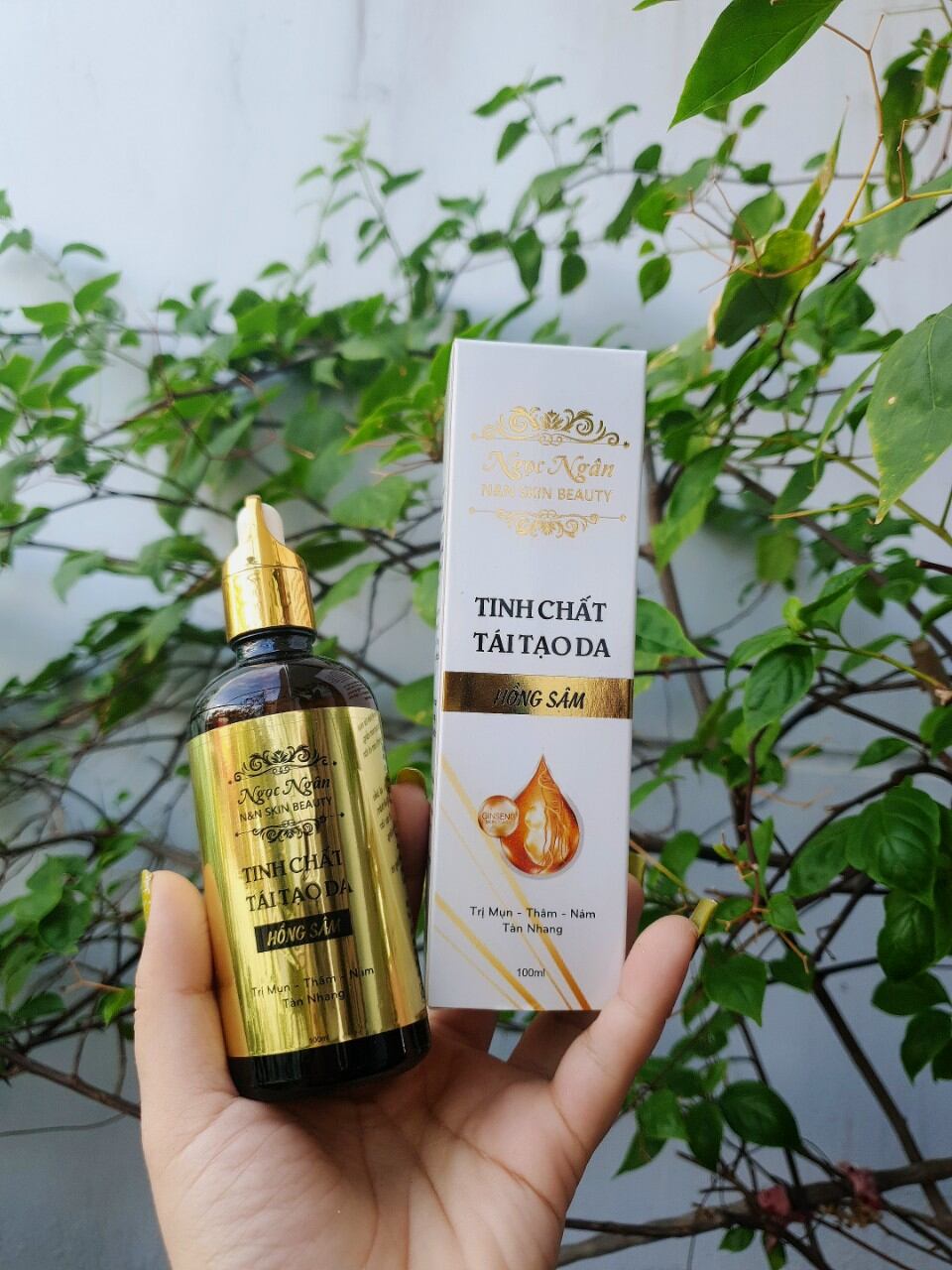 HỒNG SÂM TÁI TẠO DA