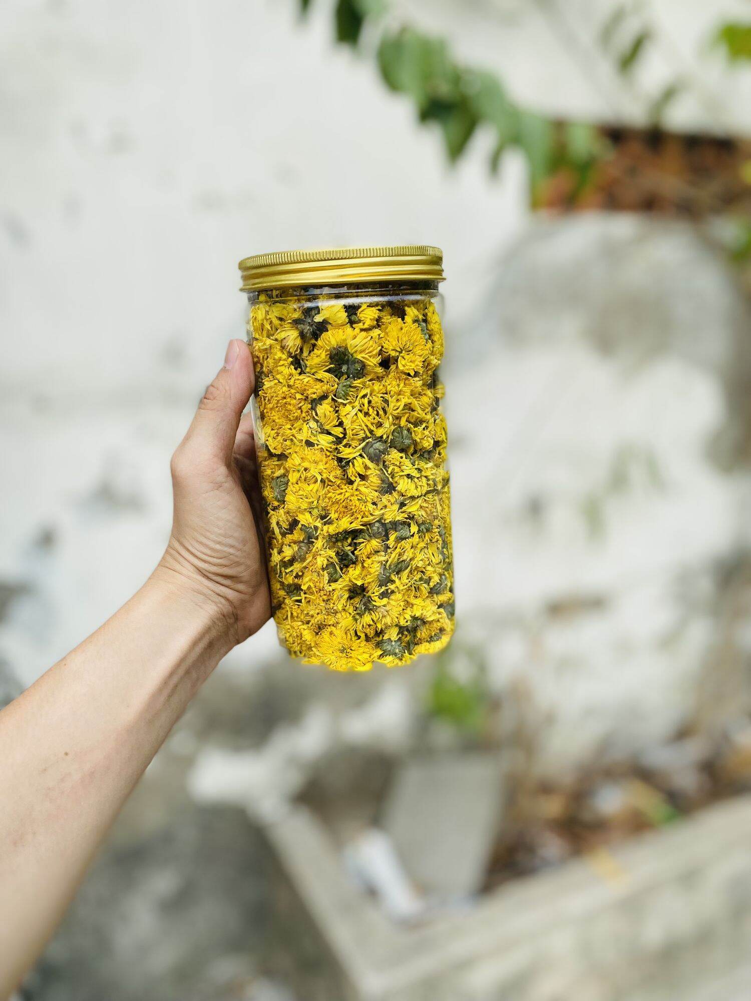 HOA CÚC SẤY KHÔ