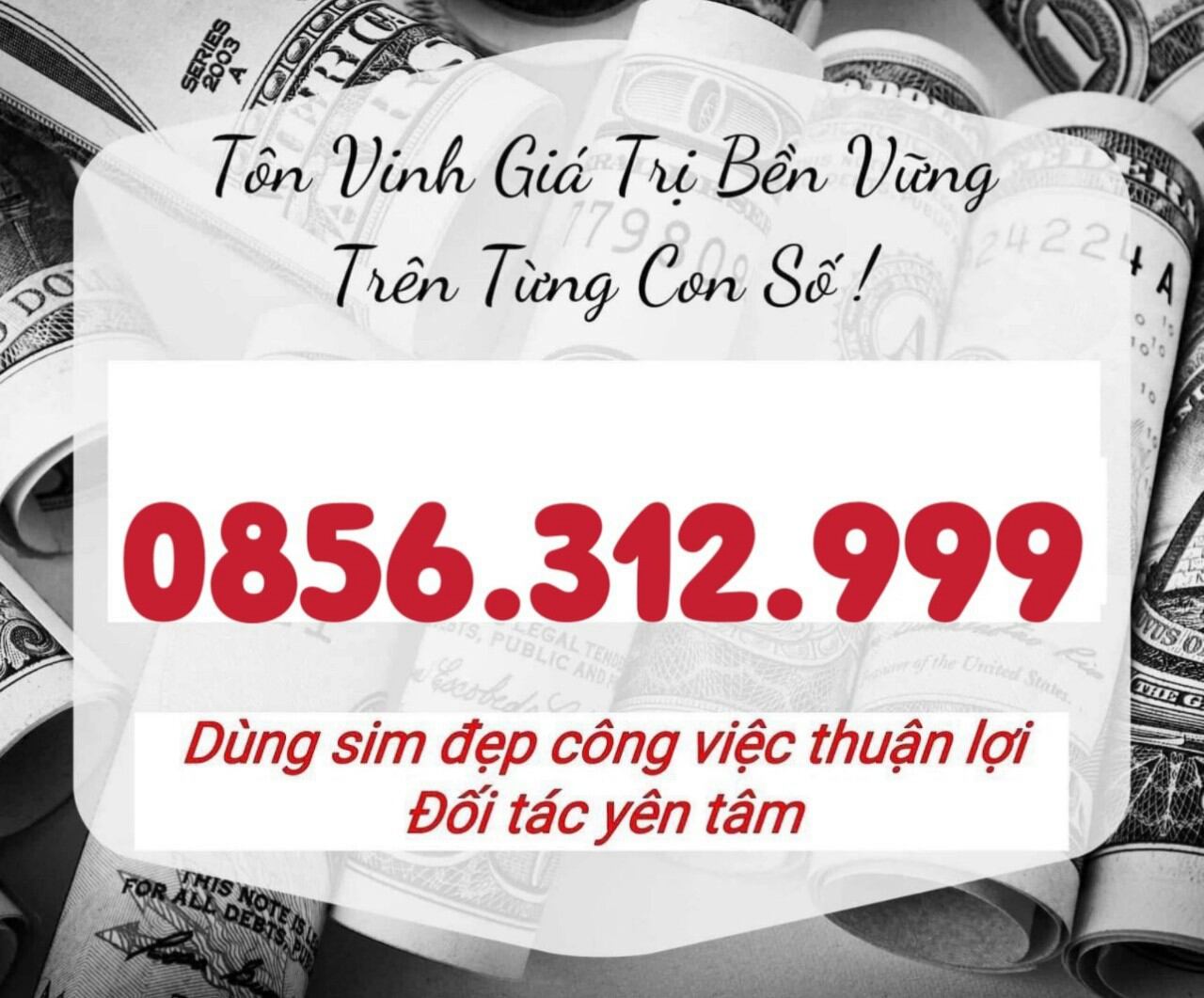 SIM số đẹp phong thủy giá rẻ