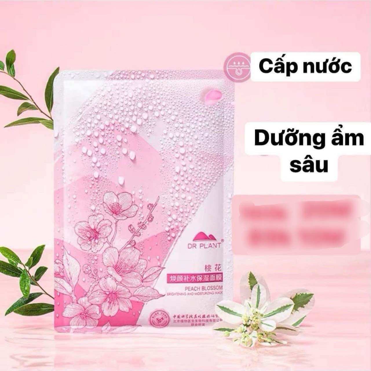 10M, 20M mặt nạ dưỡng ẩm Dr plant