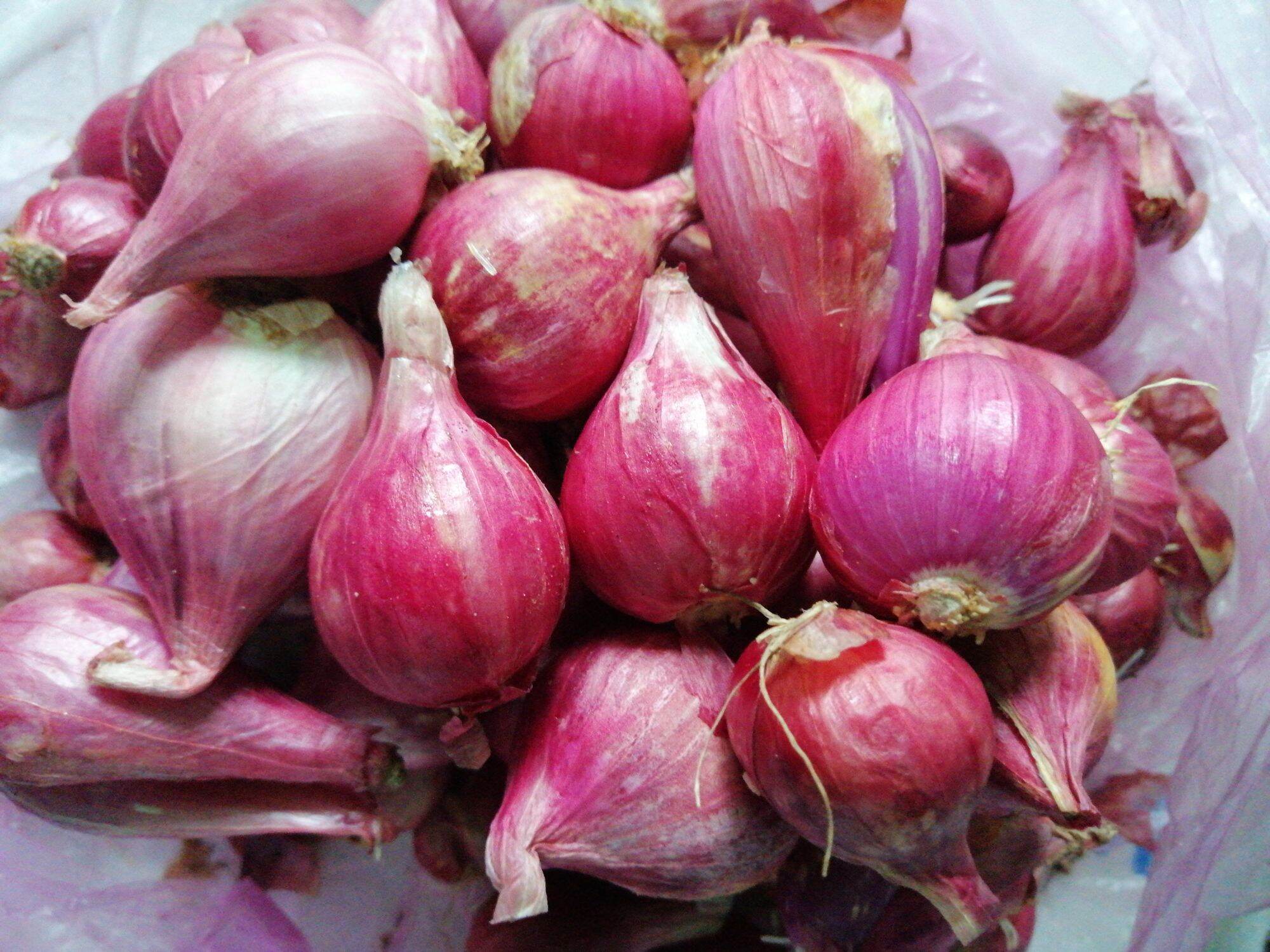 1kg hành hương tím, hành tím lý sơn ( loại 1 củ to)