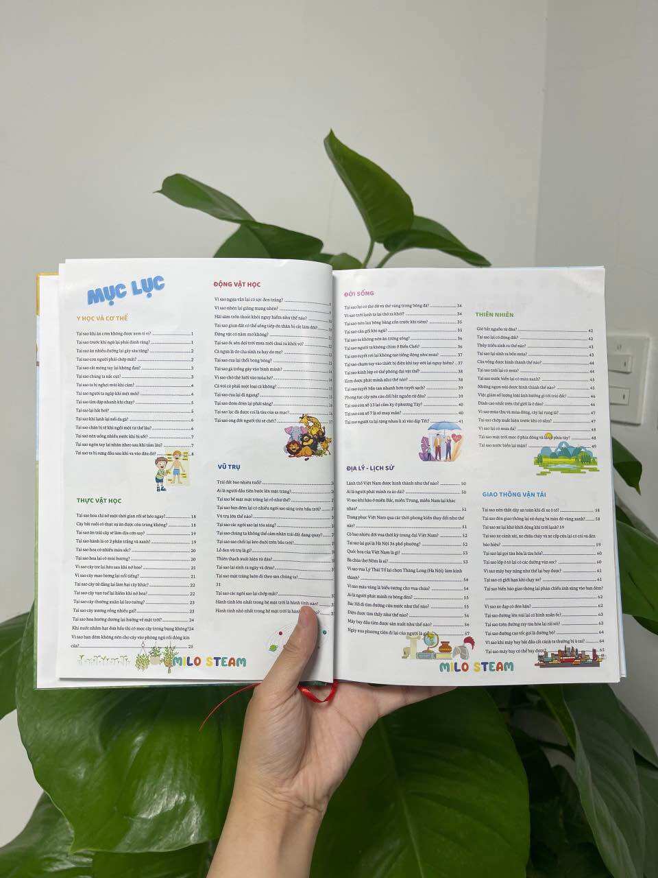 Bách khoa toàn thư (phiên bản hình minh họa)