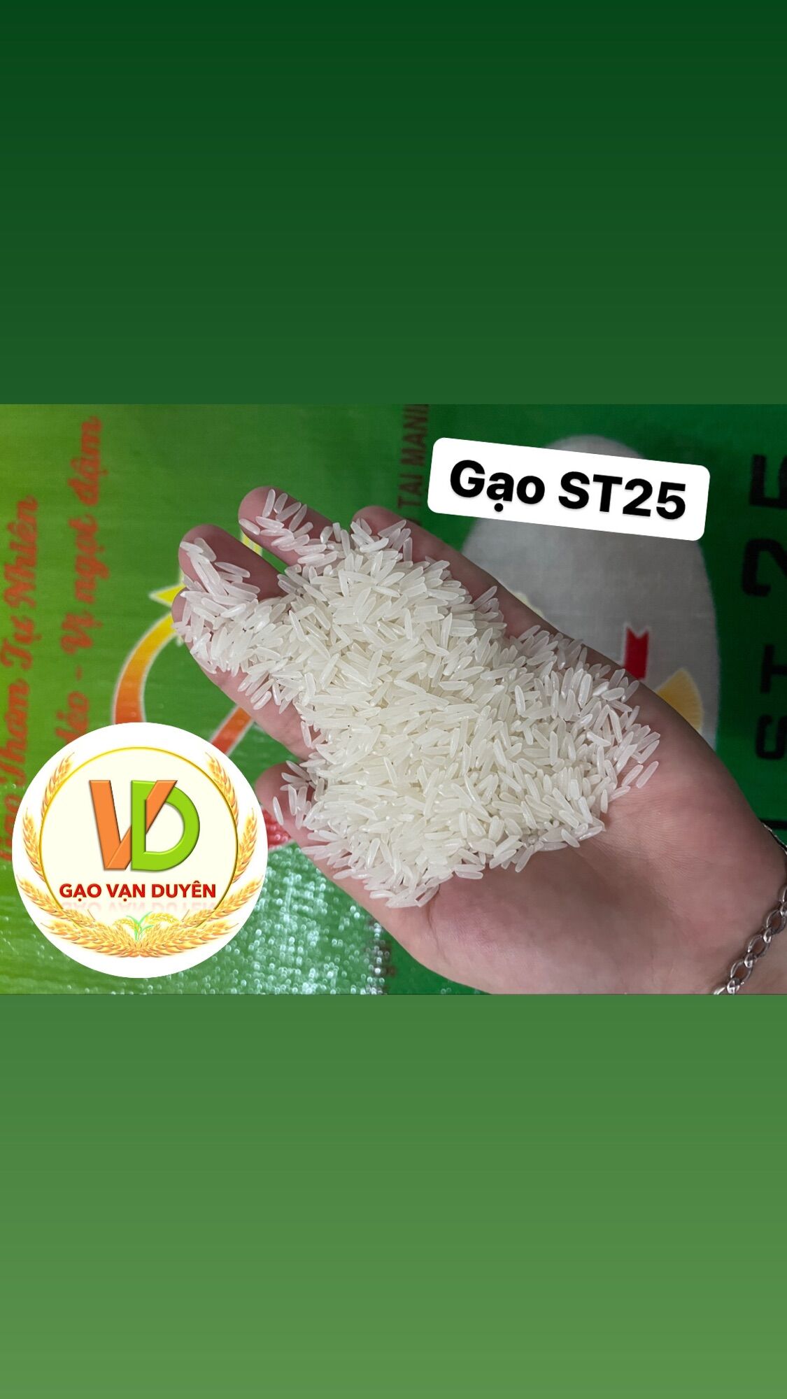 [HCM]GẠO ST25 TÚI 5KG