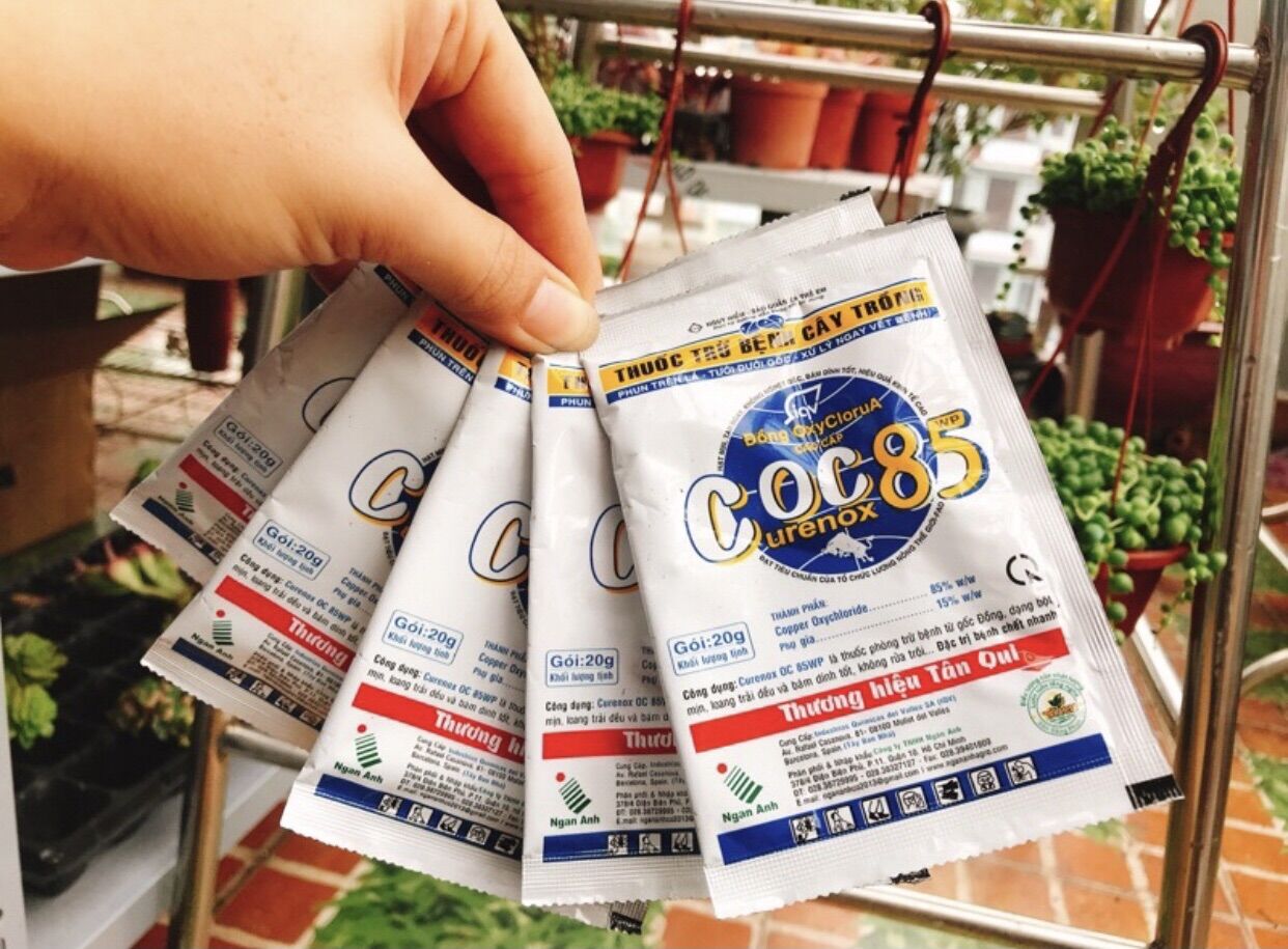 Thuốc trừ bênh coc85wp 20gram