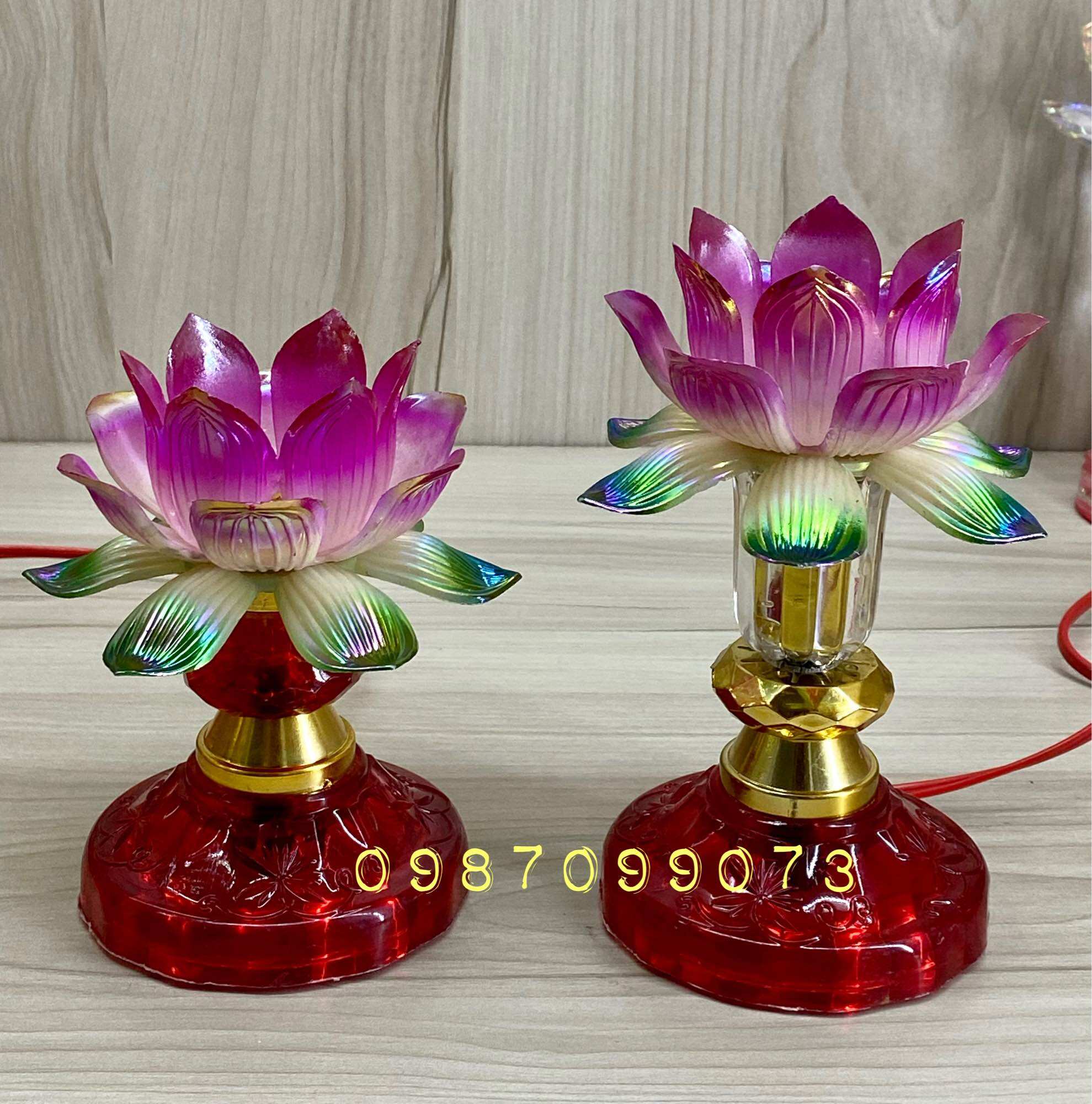 Một cặp đèn hoa sen nhựa - sử dụng bóng e12