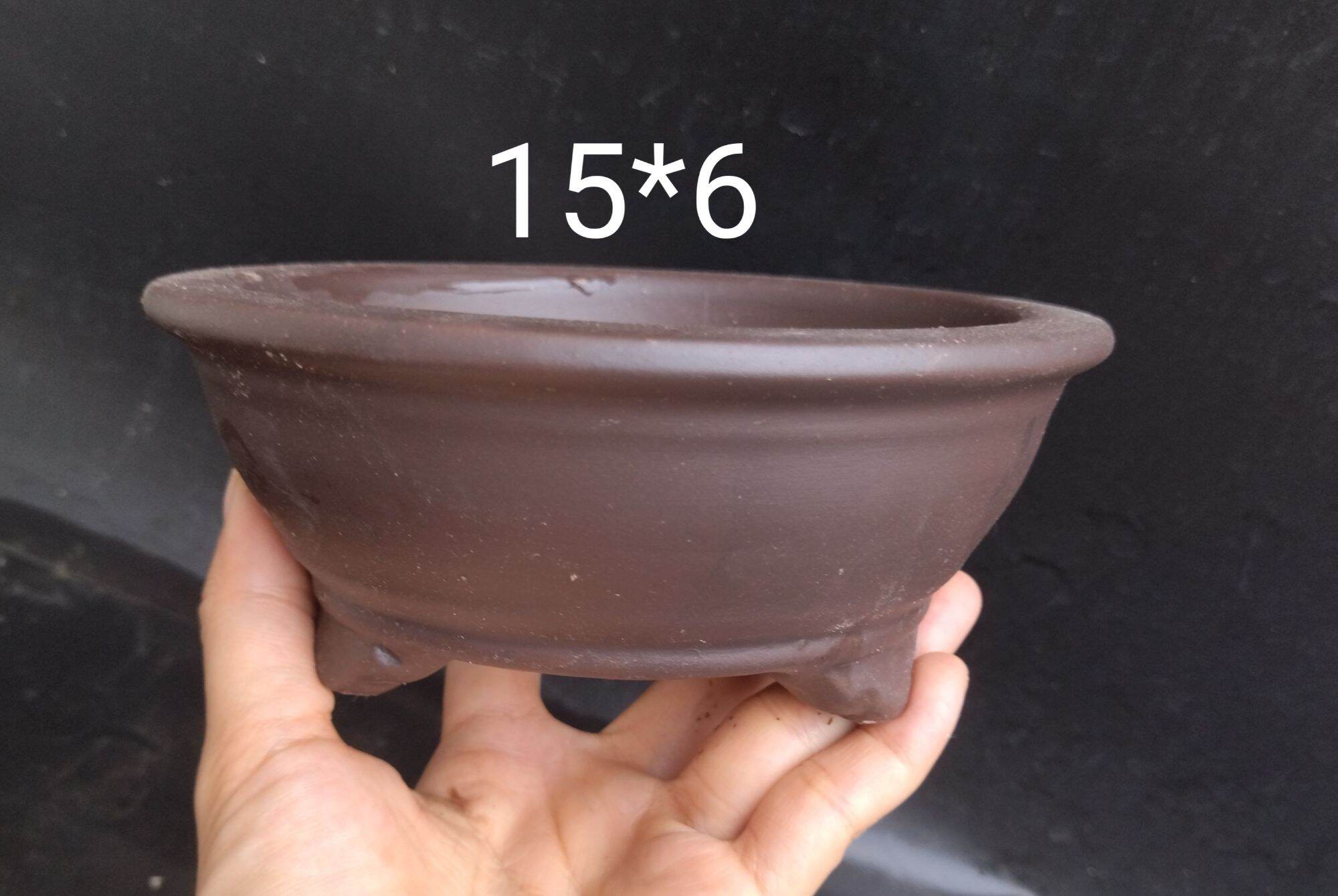 chậu tròn bonsai, trồng sen đá
