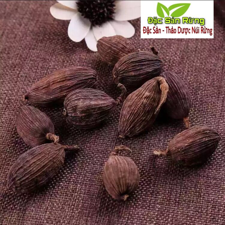 (  100Gr  )  - Thảo Qủa Khô Tây Bắc  - Đặc Sản Rừng