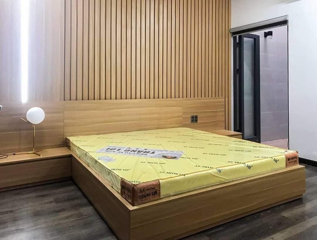 Nệm cao su non thắng lợi ( 1m2x2mx10cm)